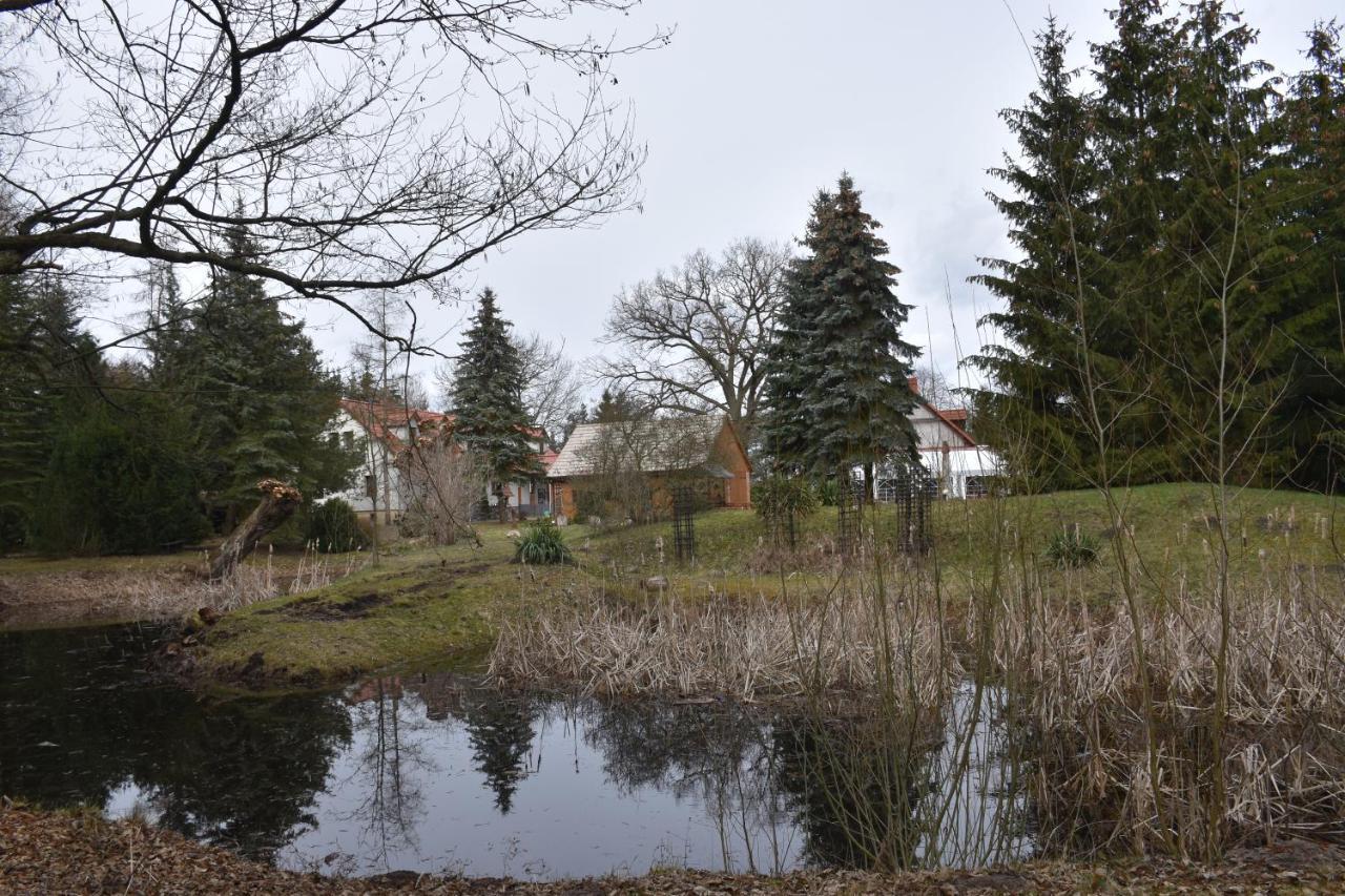 Villa Gosciniec Pod Debem Trzciel Exterior foto