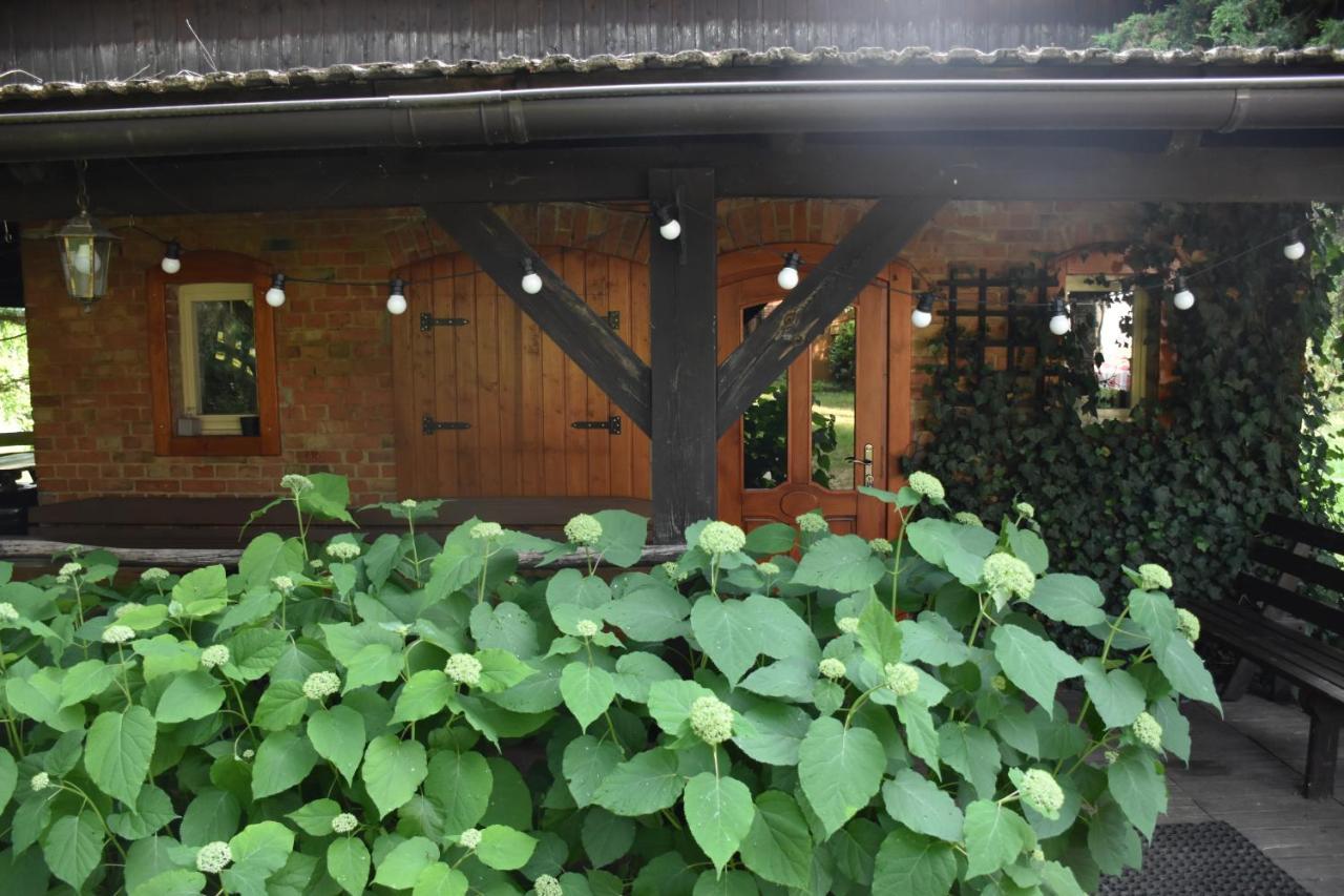Villa Gosciniec Pod Debem Trzciel Exterior foto