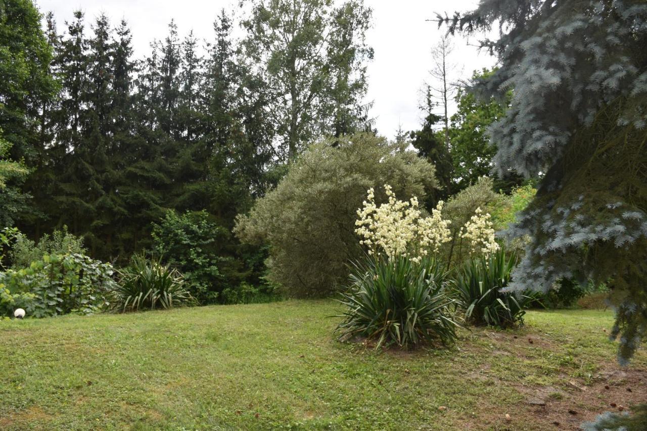 Villa Gosciniec Pod Debem Trzciel Exterior foto